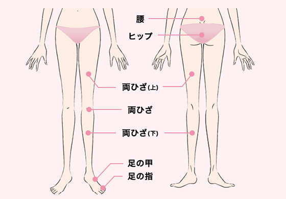 キレイモの下半身の脱毛プランは次の7箇所に対応：腰、ヒップ、両ひざ（上）、両ひざ、両ひざ（下）、足の甲、足の指
