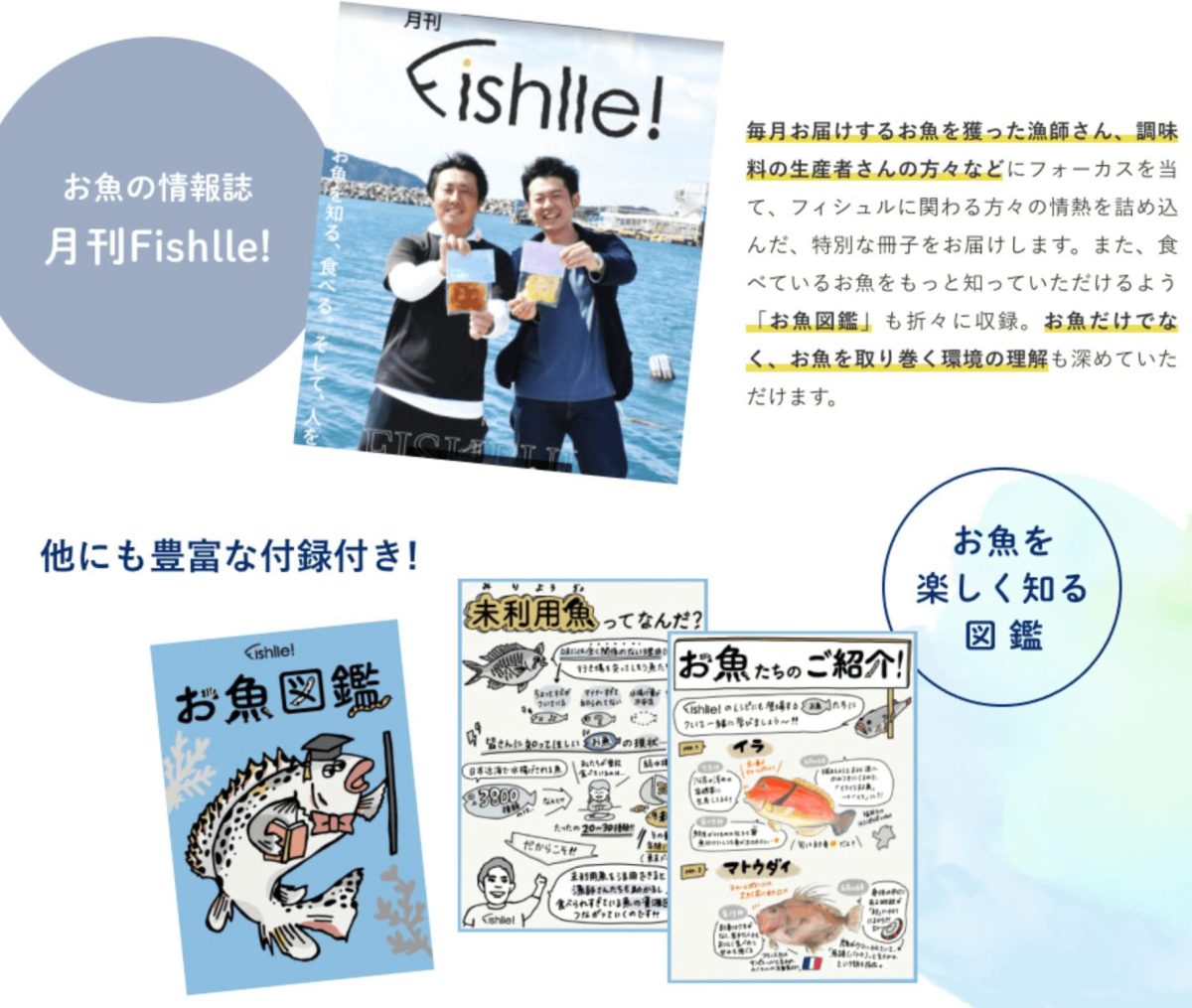 fishll_限定マガジンと付録図鑑